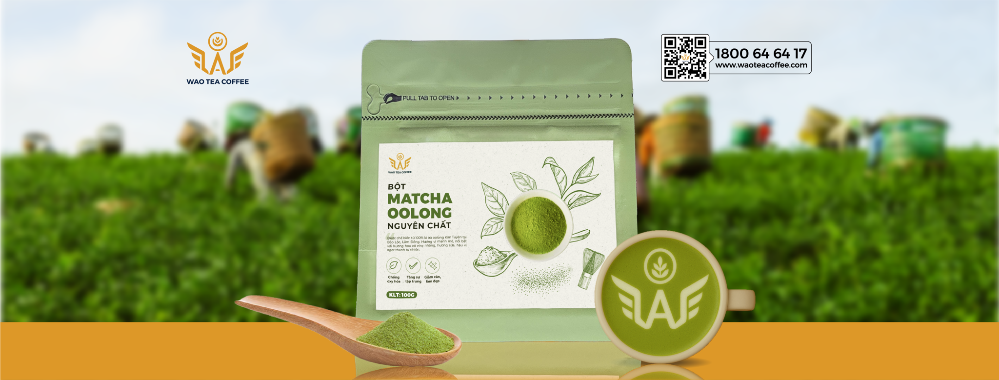 Matcha Oolong Nguyên Chất