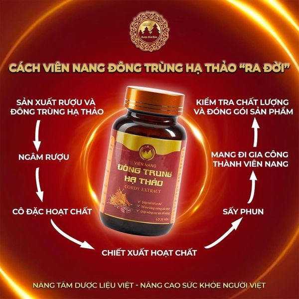 CÁCH VIÊN NANG ĐÔNG TRÙNG HẠ THẢO 