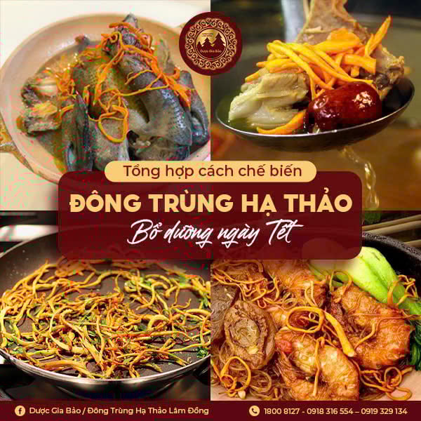 Cách chế biến đông trùng hạ thảo bổ dưỡng ngày Tết