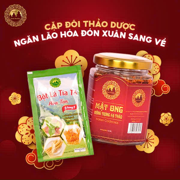 Cặp đôi thảo dược ngăn ngừa lão hóa đón xuân sang về