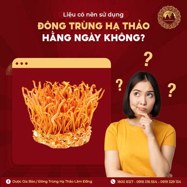 Có nên sử dụng đông trùng hạ thảo hằng ngày không?