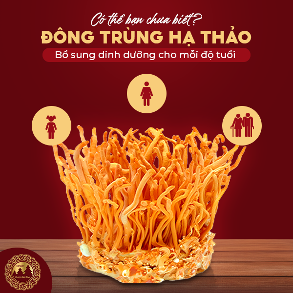 Đông trùng hạ thảo bổ sung dinh dưỡng cho mọi độ tuổi