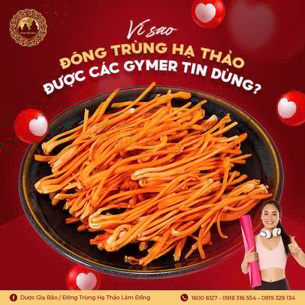 Vì sao đông trùng hạ thảo được các gymer tin dùng?