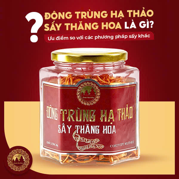 Đông trùng hạ thảo sấy thăng hoa là gì?