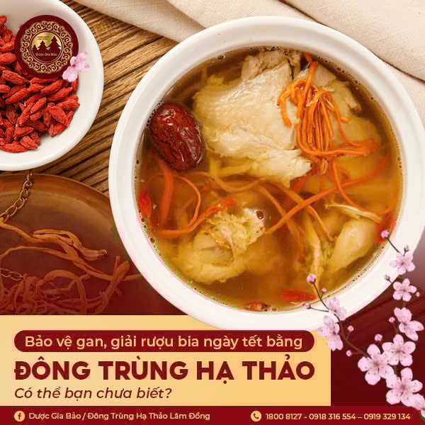 Giải rượu bia bằng đông trùng hạ thảo, bạn đã biết?
