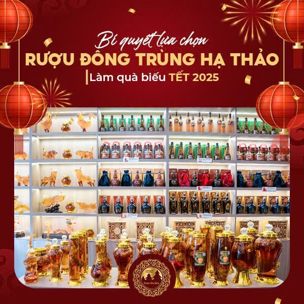 Bí quyết lựa chọn rượu đông trùng hạ thảo làm quà biếu Tết 2025
