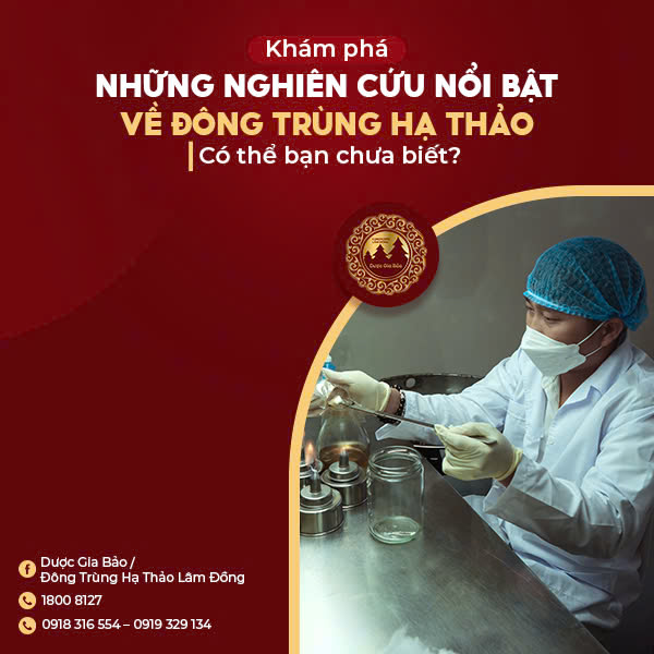 Khám phá những nghiên cứu nổi bật về đông trùng hạ thảo