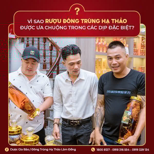 Đông trùng hạ thảo ngâm rượu được ưa chuộng ở các dịp đặc biệt