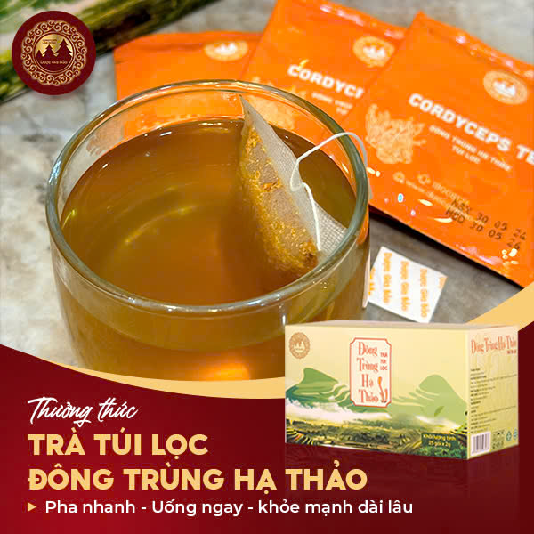 Thưởng thức trà túi lọc đông trùng hạ thảo Dược Gia Bảo