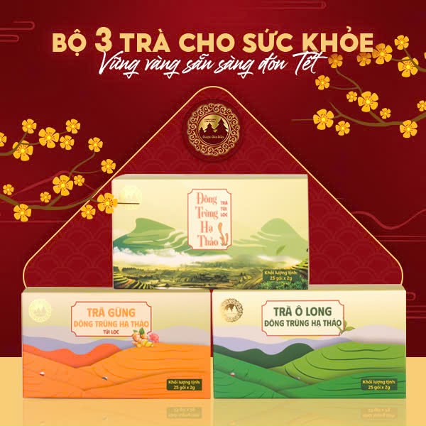 Bộ 3 trà cho sức khỏe - vững vàng sẵn sàng đón Tết