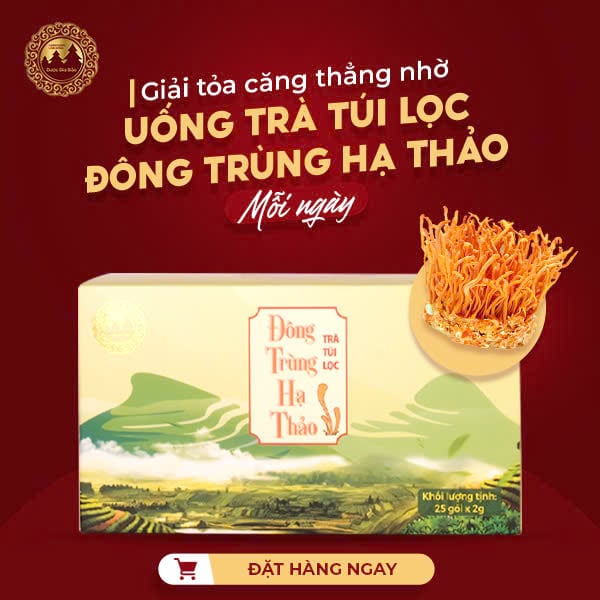 Uống trà túi lọc đông trùng hạ thảo mỗi ngày giúp giảm stress