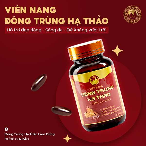 Viên nang đông trùng hạ thảo Dược Gia Bảo đề kháng vượt trội