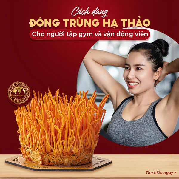 cach dung dong trung ha thao cho nguoi tap gym