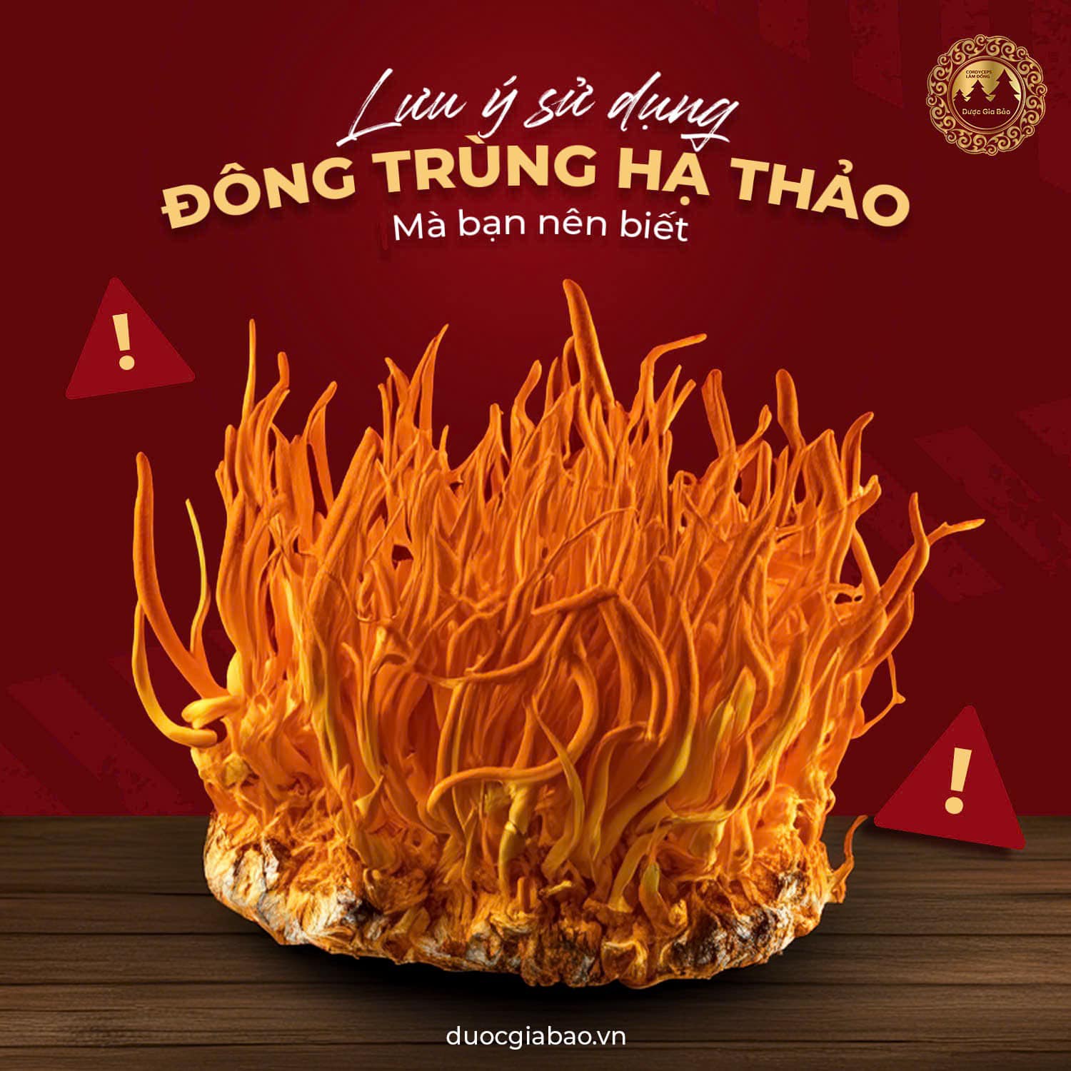 co nen su dung dong trung ha thao hang ngay khong