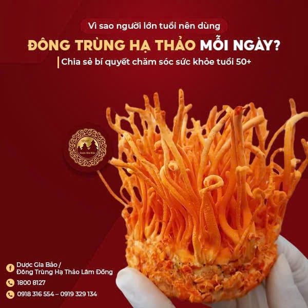 nguoi lon tuoi nen dung dong trung ha thao