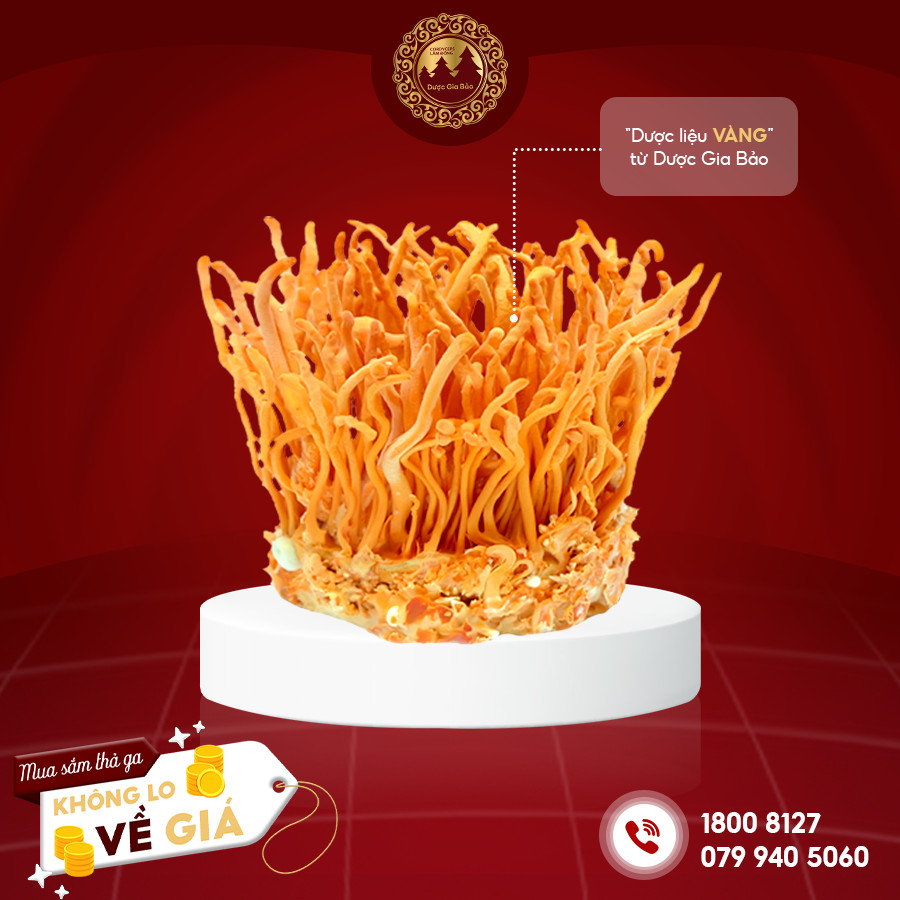 qua trinh sinh truong cua dong trung ha thao