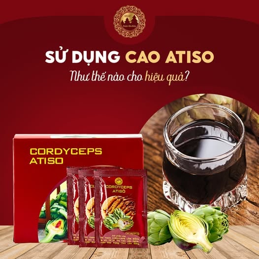 atiso dong trung ha thao hoa tan Duoc Gia Bao