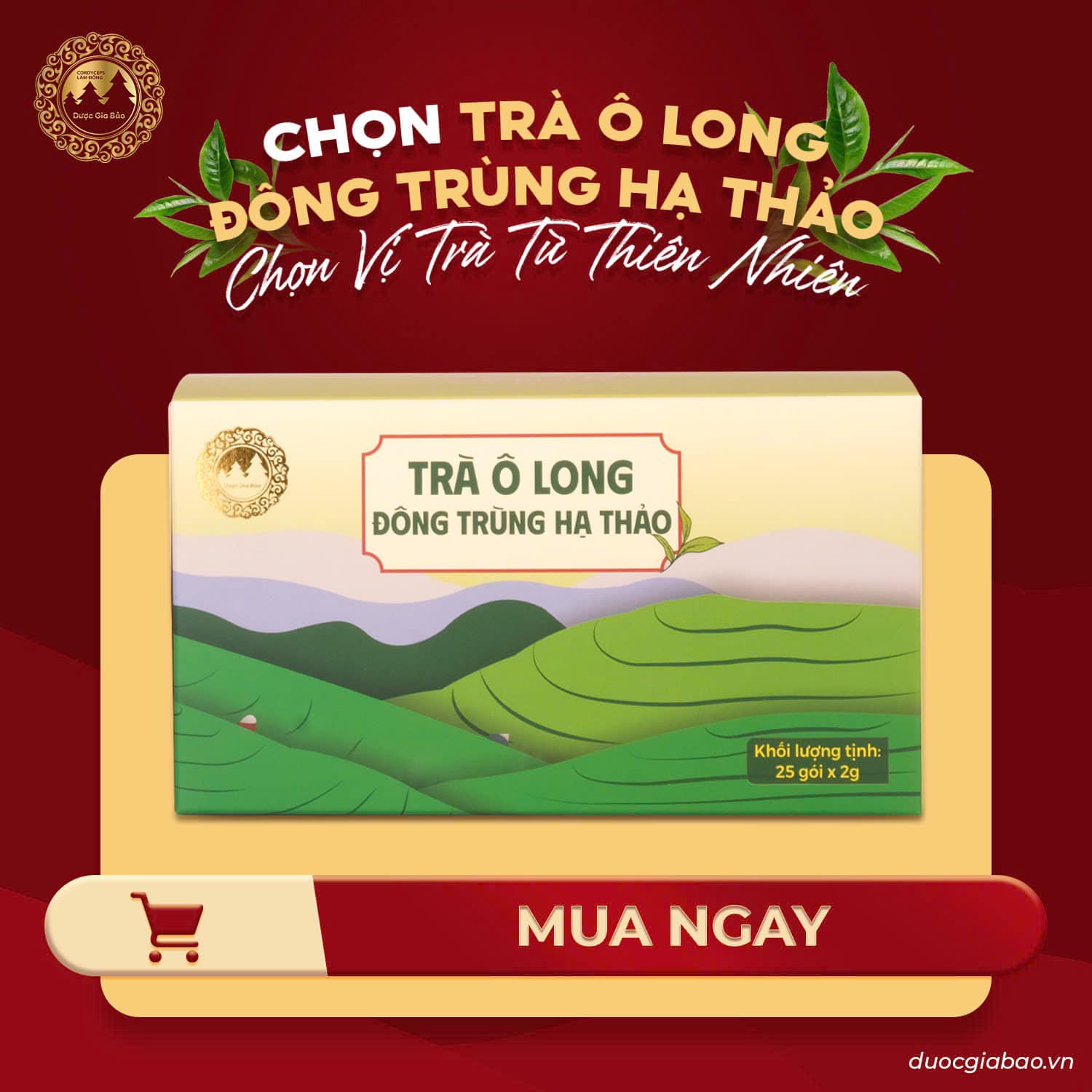 khai xuan tra o long dong trung ha thao