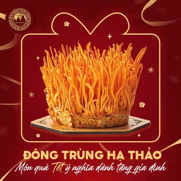 dong trung ha thao mon qua Tet tang gia dinh