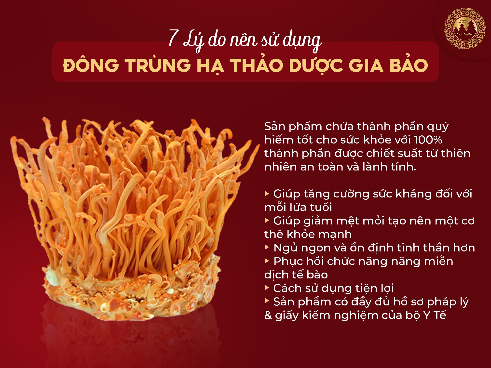 giai ruou bia bang dong trung ha thao