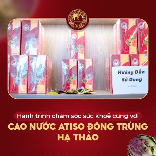 cao nuoc atiso duoc gia bao dong trung ha thao
