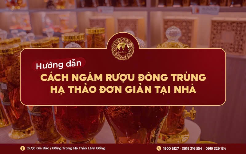cach ngam ruou dong trung ha thao