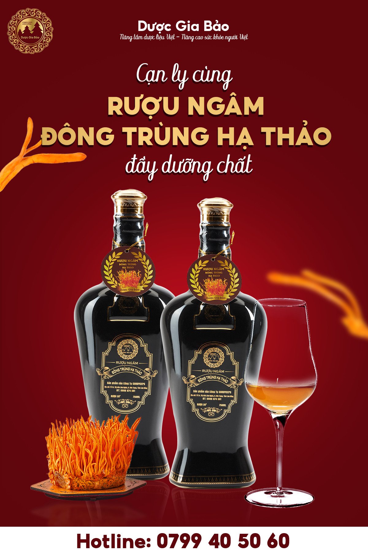 cach ngam ruou dong trung ha thao