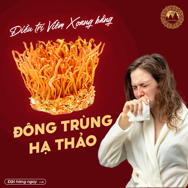 dieu tri viem xoang bang dong trung ha thao Duoc Gia Bao