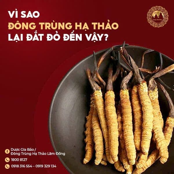 vi sao dong trung ha thao lai dat do den vay
