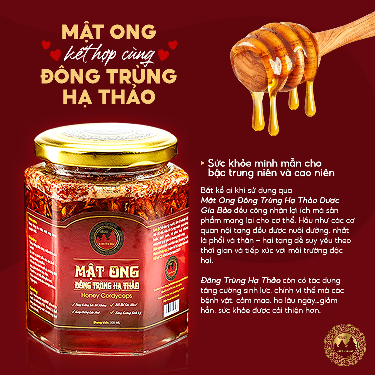 Dong trung ngam mat ong Duoc Gia Bao