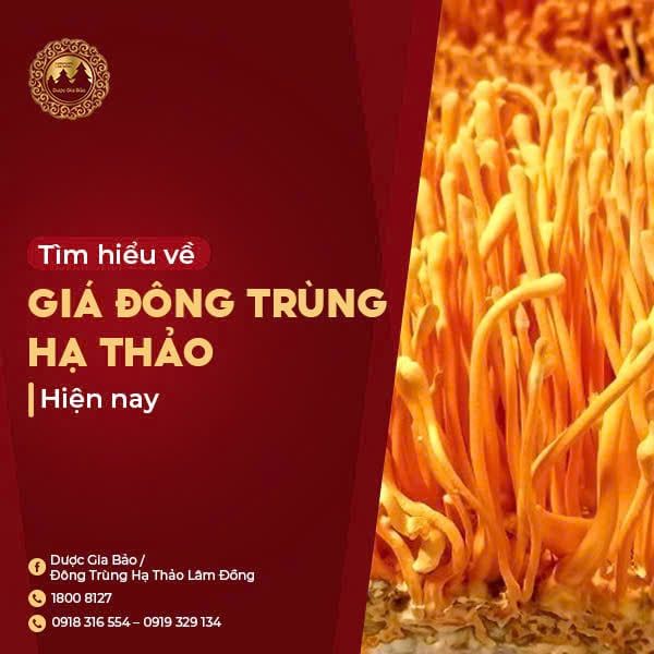Tim hieu ve gia dong trung ha thao hien nay