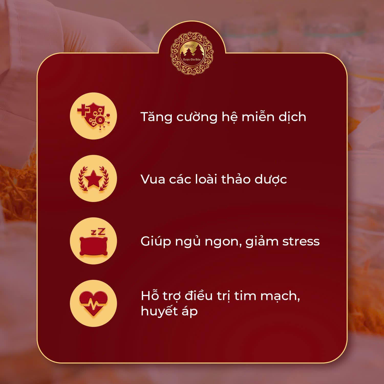 dong trung ha thao la than duoc cho suc khoe