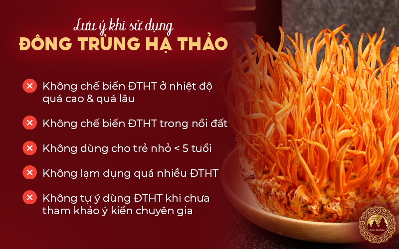 Cach su dung dong trung ha thao tuoi dung cach