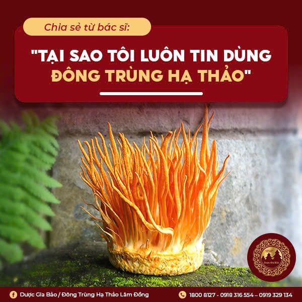 tai sao nen tin dung dong trung ha thao