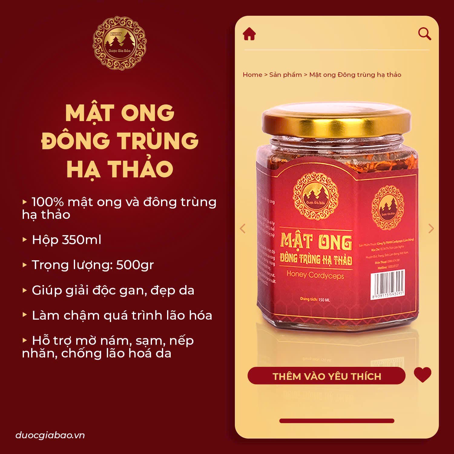 nguoi gia dung dong trung ha thao hieu qua
