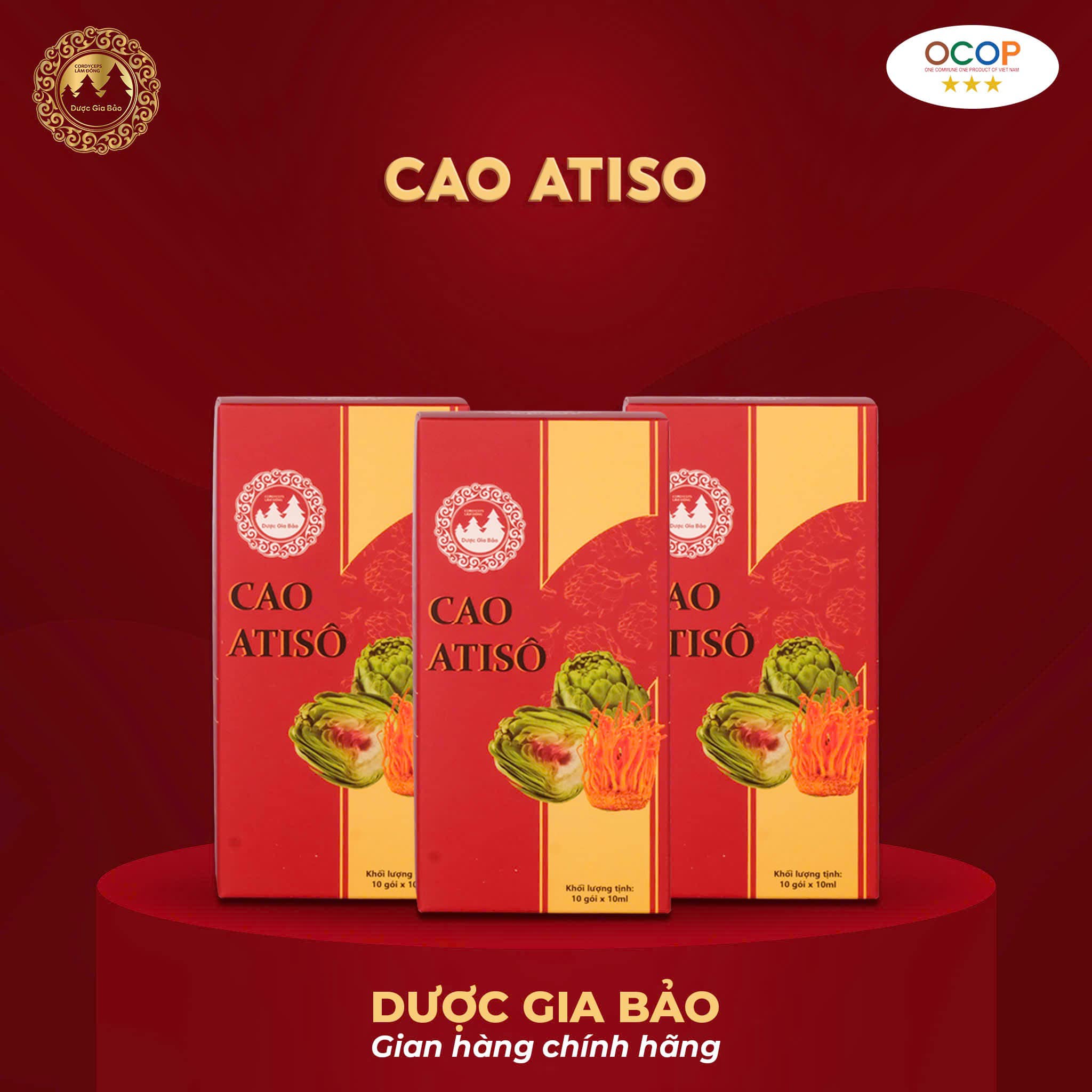 cao nuoc atiso duoc gia bao dong trung ha thao
