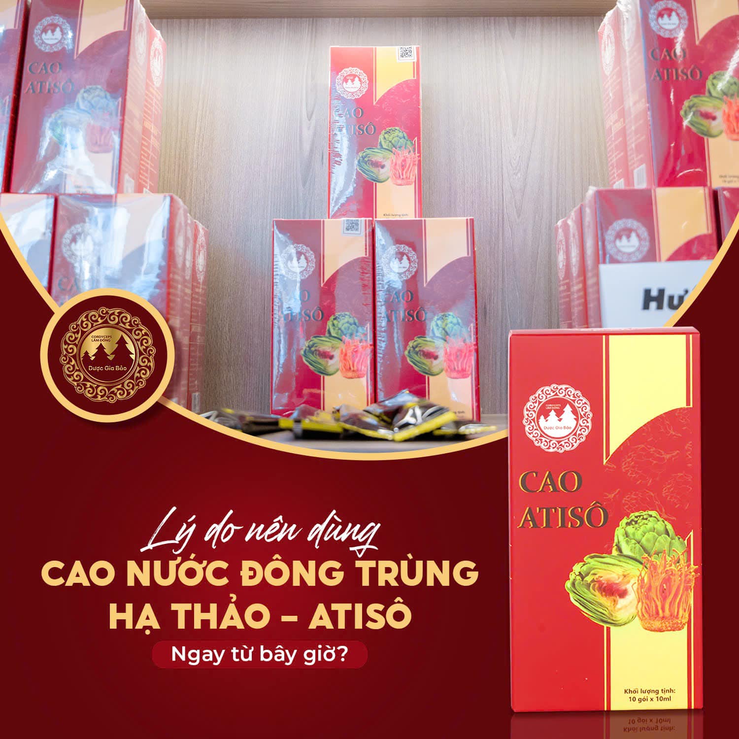 cao nuoc atiso duoc gia bao dong trung ha thao