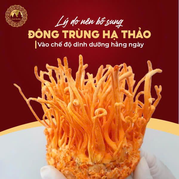 ly do nen bo sung dong trung ha thao moi ngay