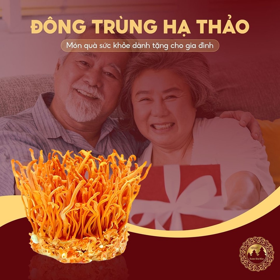 nghien cuu noi bat ve dong trung ha thao