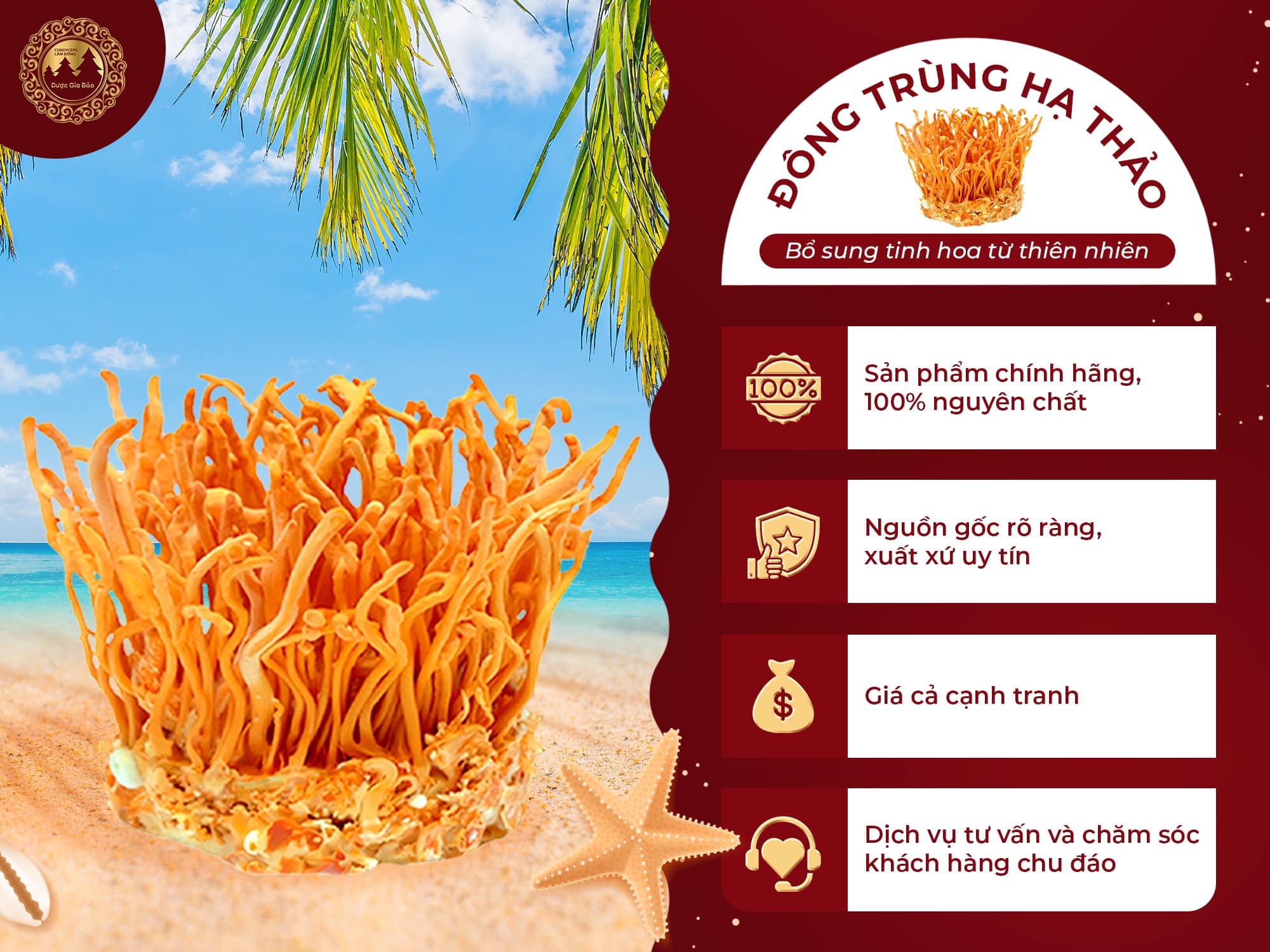 dong trung ha thao tang cuong chuc nang gan