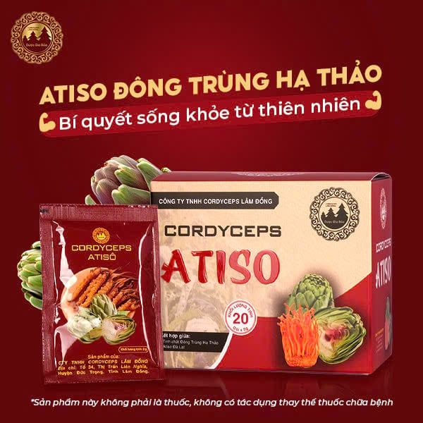 atiso dong trung ha thao hoa tan Duoc Gia Bao