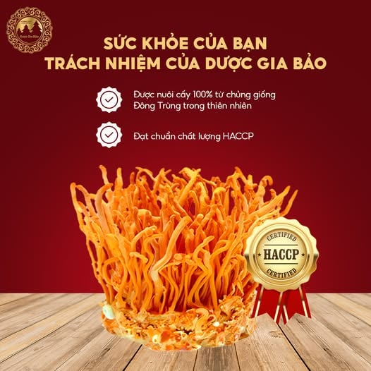 vi sao dong trung ha thao lai dat do den vay