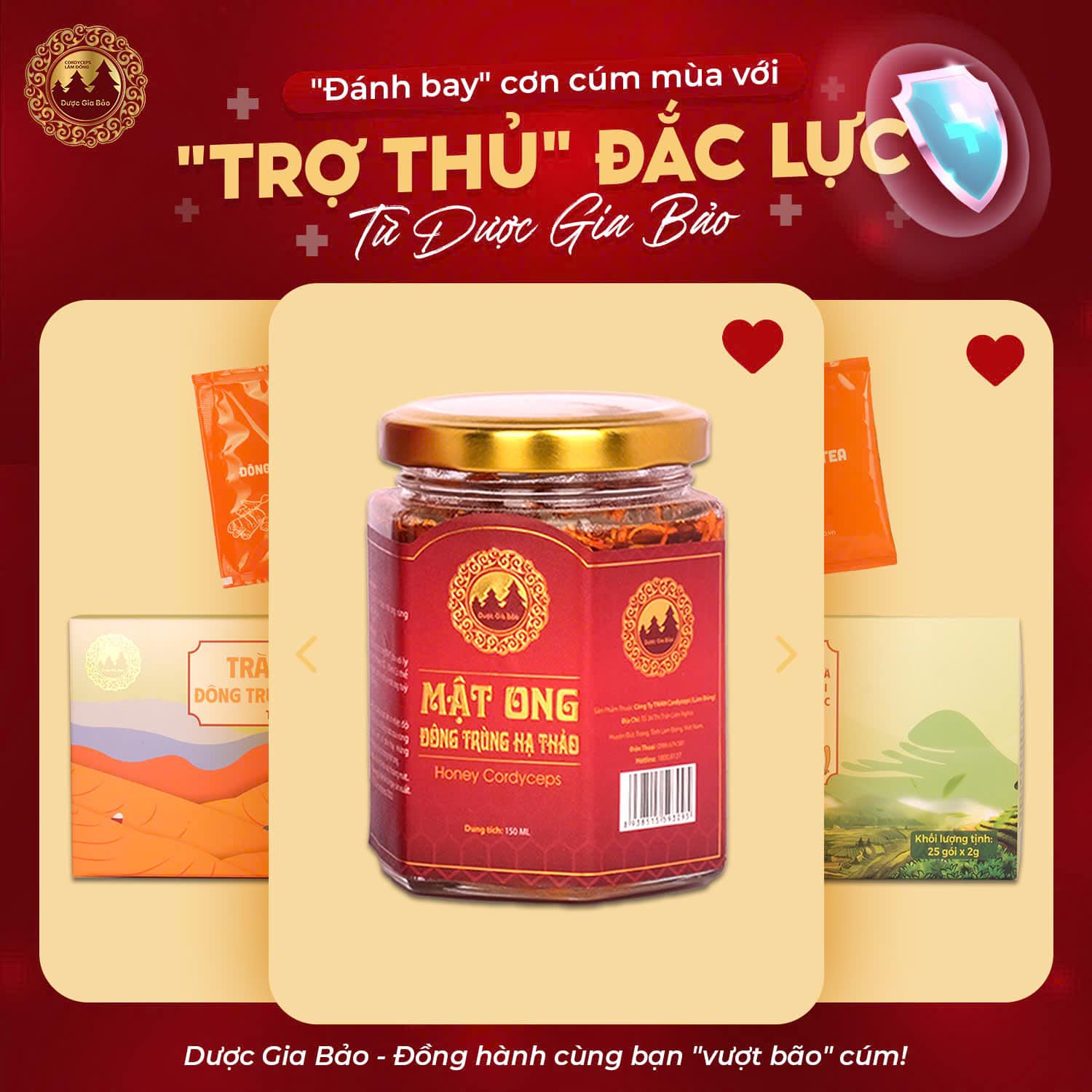 dong trung ha thao ngua cum hieu qua