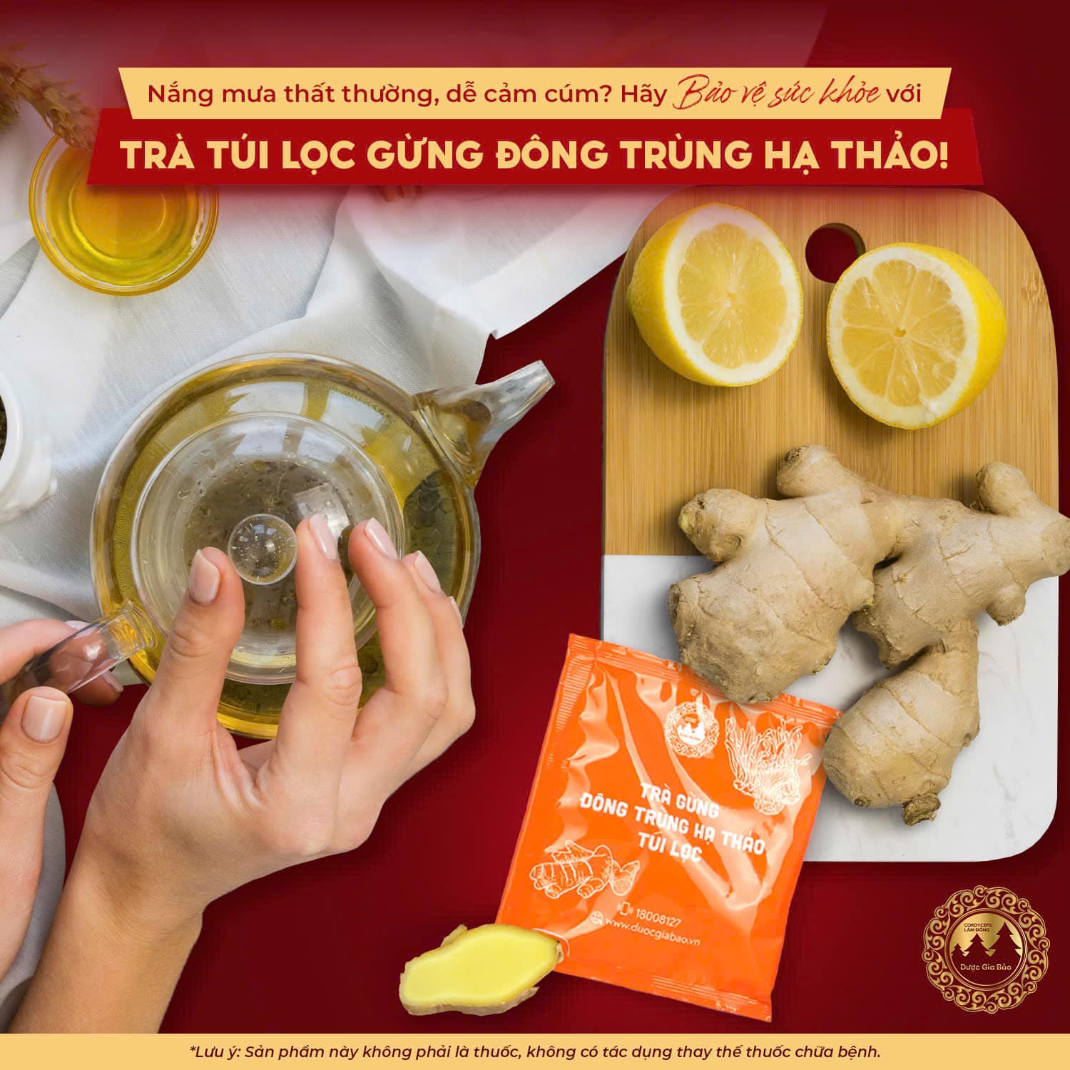 dong trung ha thao ngua cum hieu qua