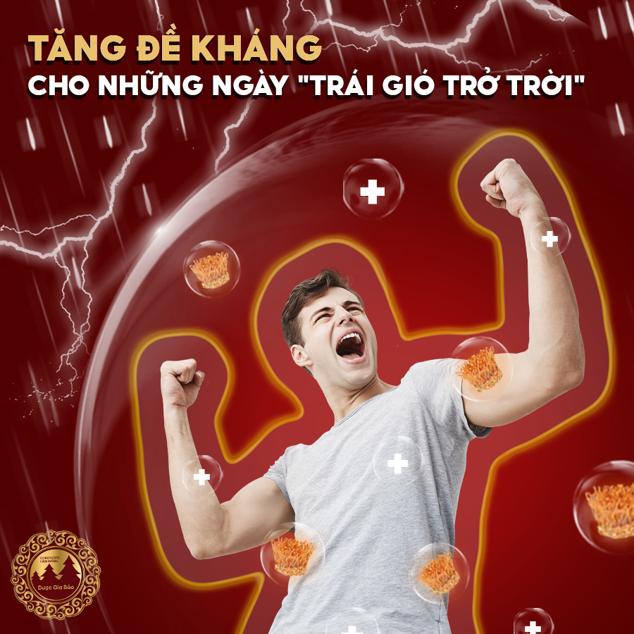 dong trung ha thao ngua cum hieu qua