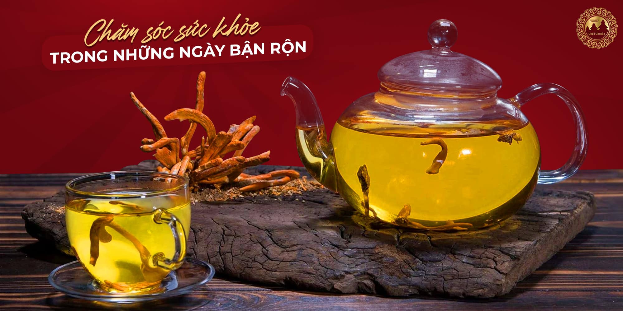 nham nhi tra dong trung ha thao