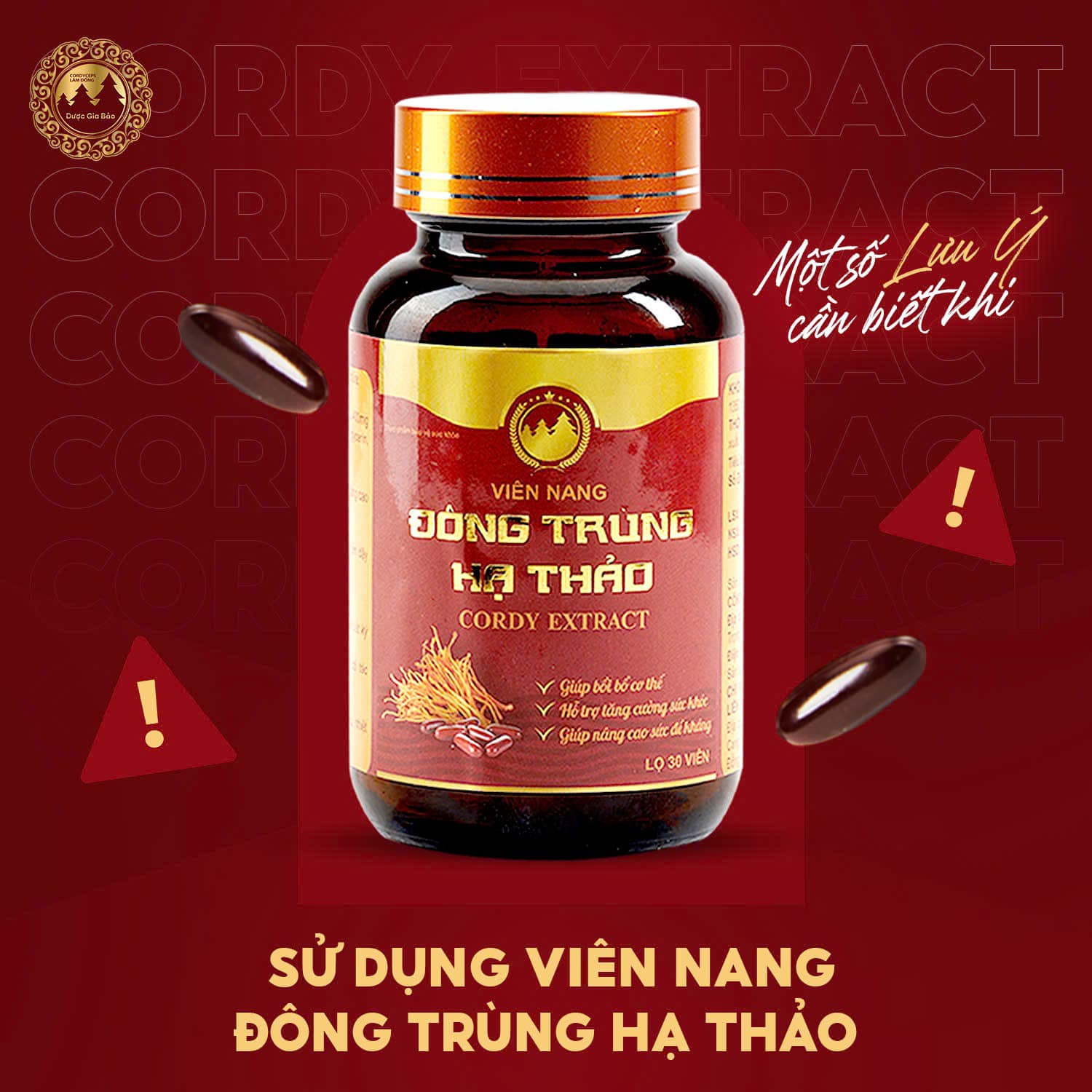 review vien nang dong trung ha thao