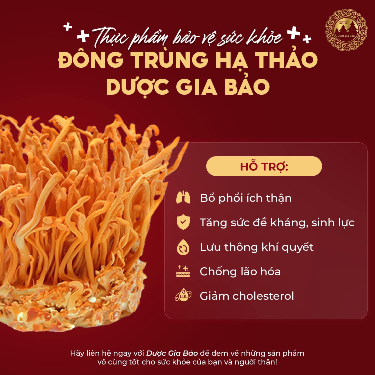 san pham dat chuan OCOP 2024