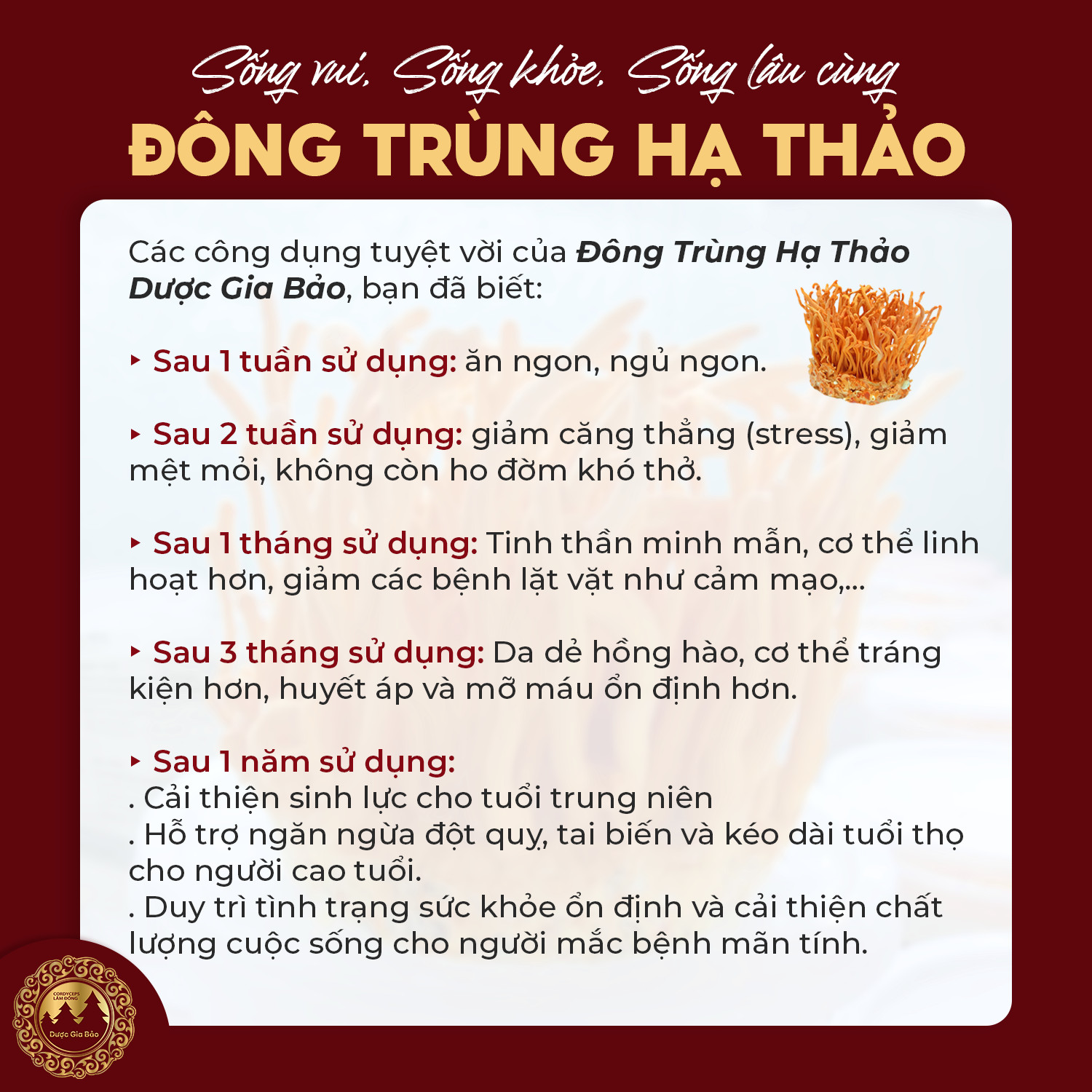 su that ve nam dong trung ha thao