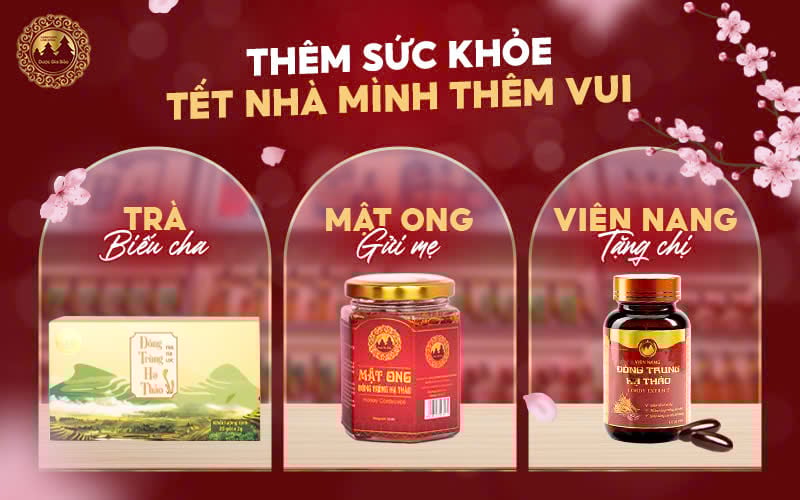dong trung ha thao mon qua Tet tang gia dinh